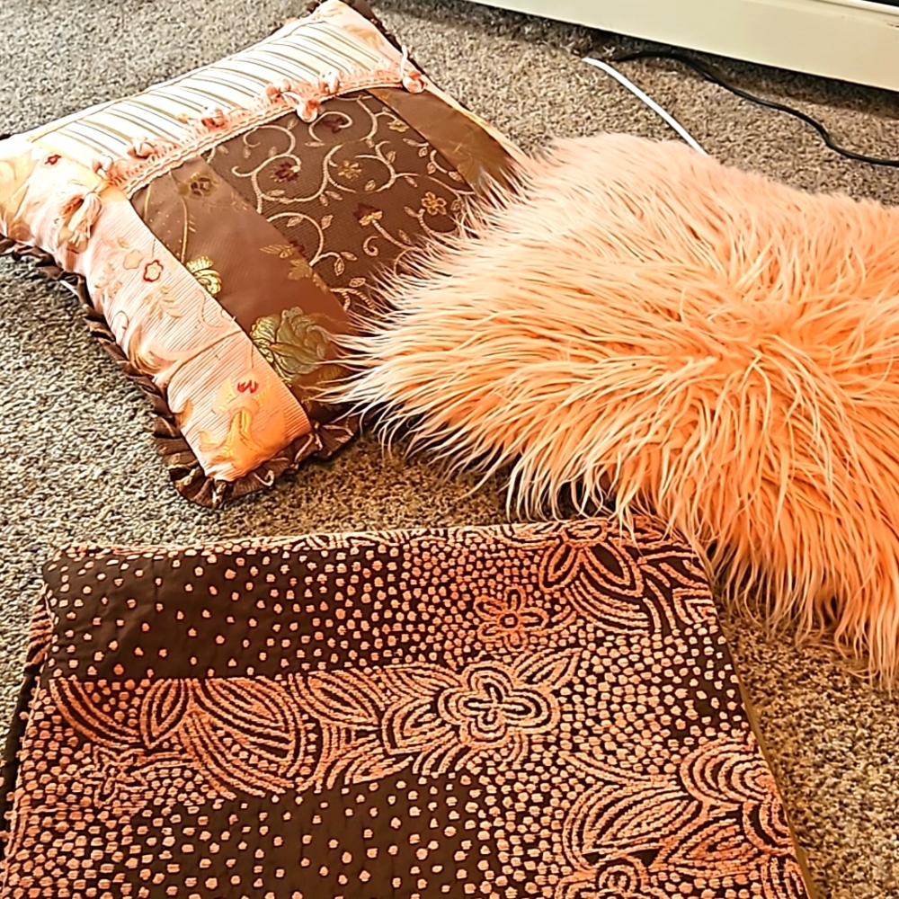 1 throw pillow and 3 washable zippered covers